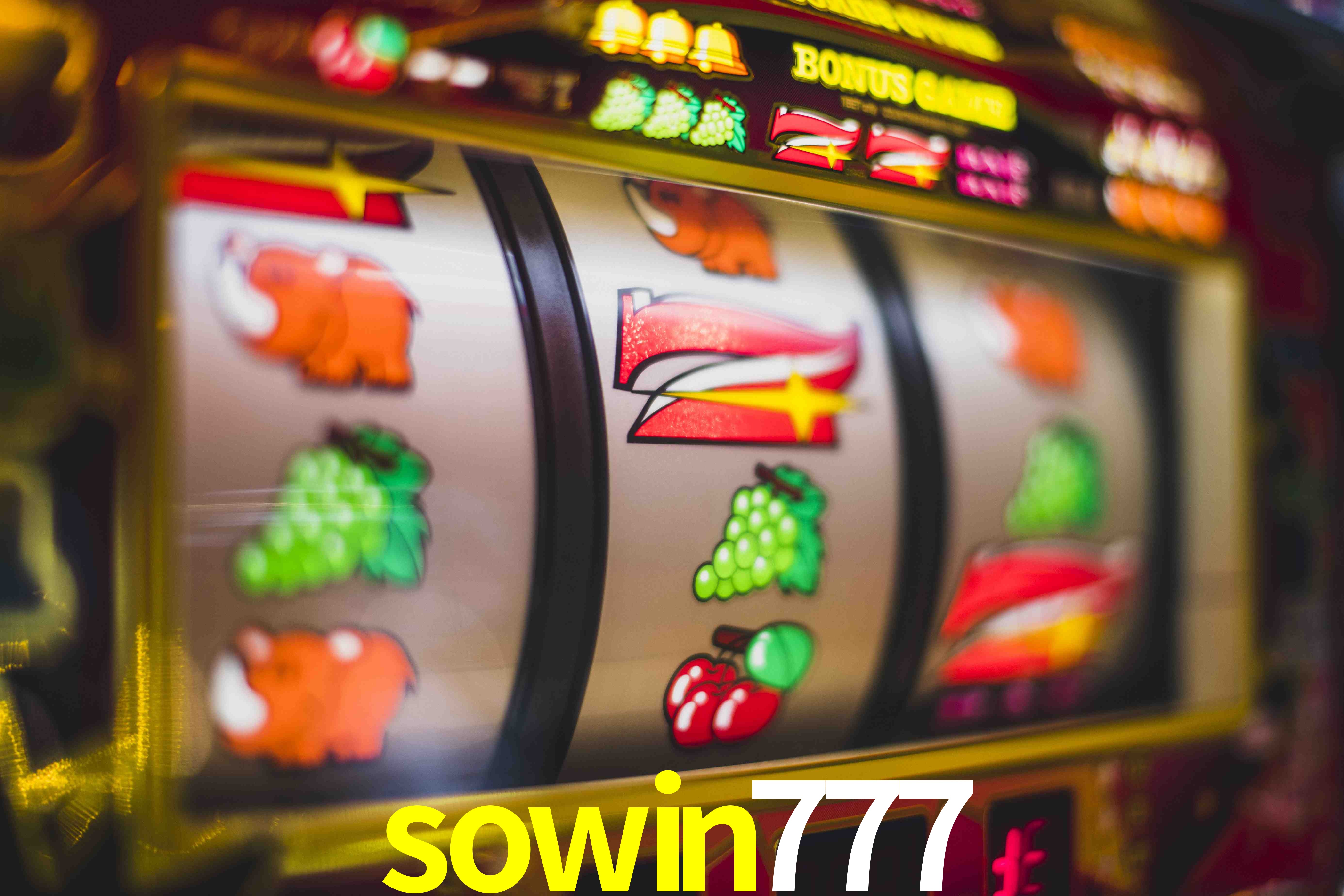 Roulette Table sowin777